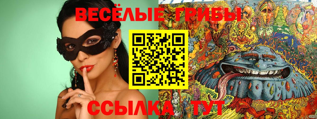 Псилоцибиновые грибы GOLDEN TEACHER Анапа
